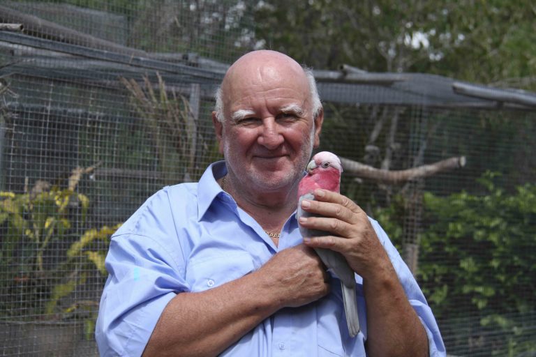 Meet Bundaberg's Parrot Expert John Kluth – Bundaberg Now