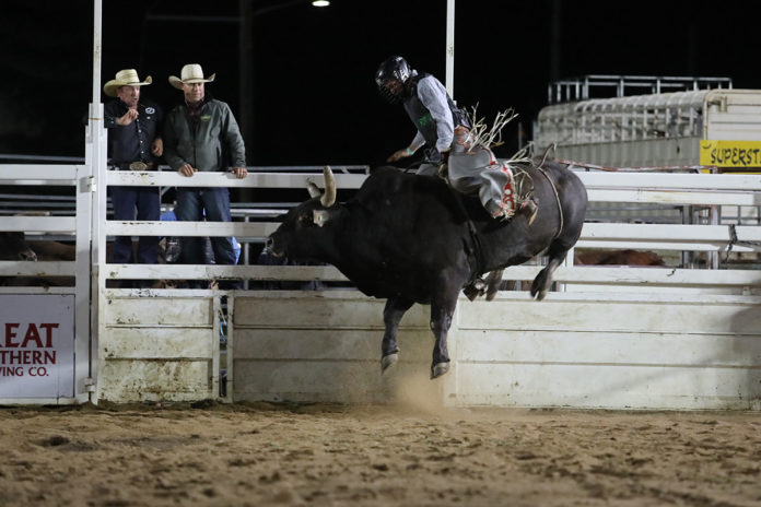 Pbr Bull Mania Rocks Burnett Heads – Bundaberg Now