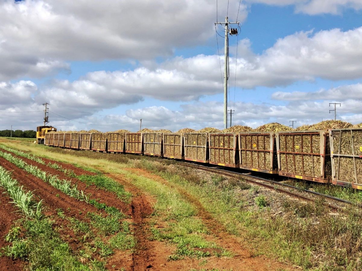 full-steam-ahead-for-cane-crushing-season-bundaberg-now