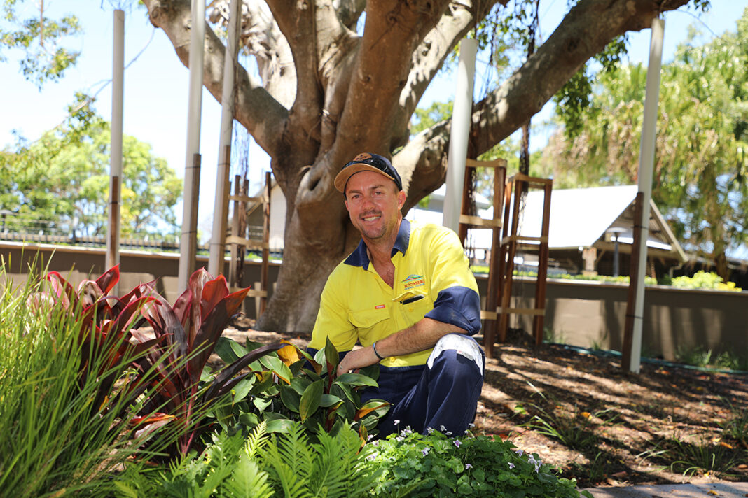 Fig Tree Garden takes shape with planting program – Bundaberg Now