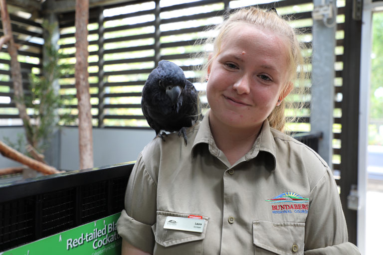 Rendezvous at the Zoo free activities on Saturday – Bundaberg Now