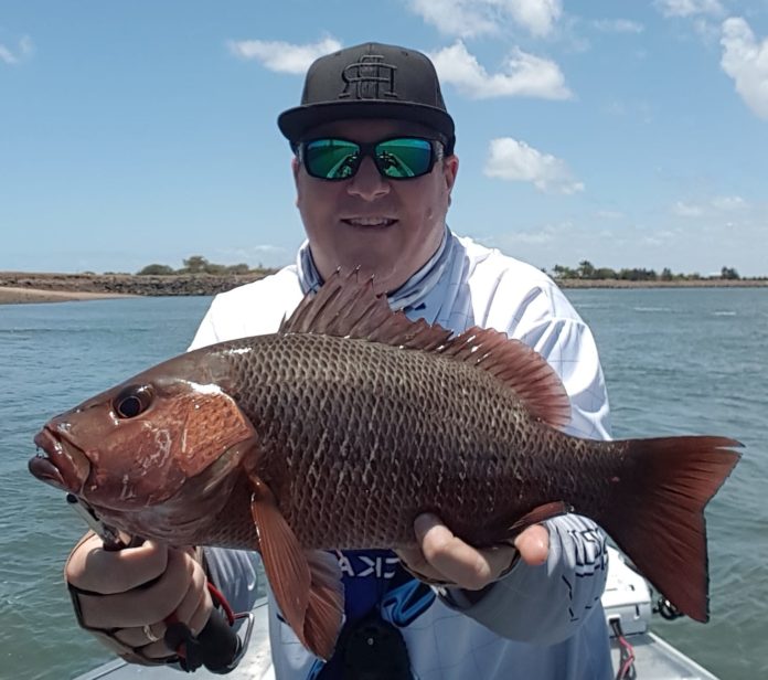 Mud crabs up for grabs in the Burnett – Bundaberg Now