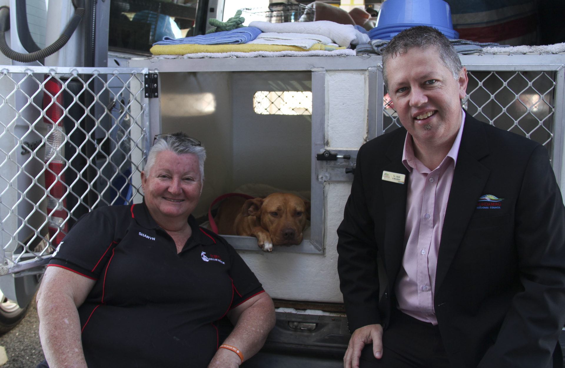 Council, animal rescue groups band together in 2019 – Bundaberg Now