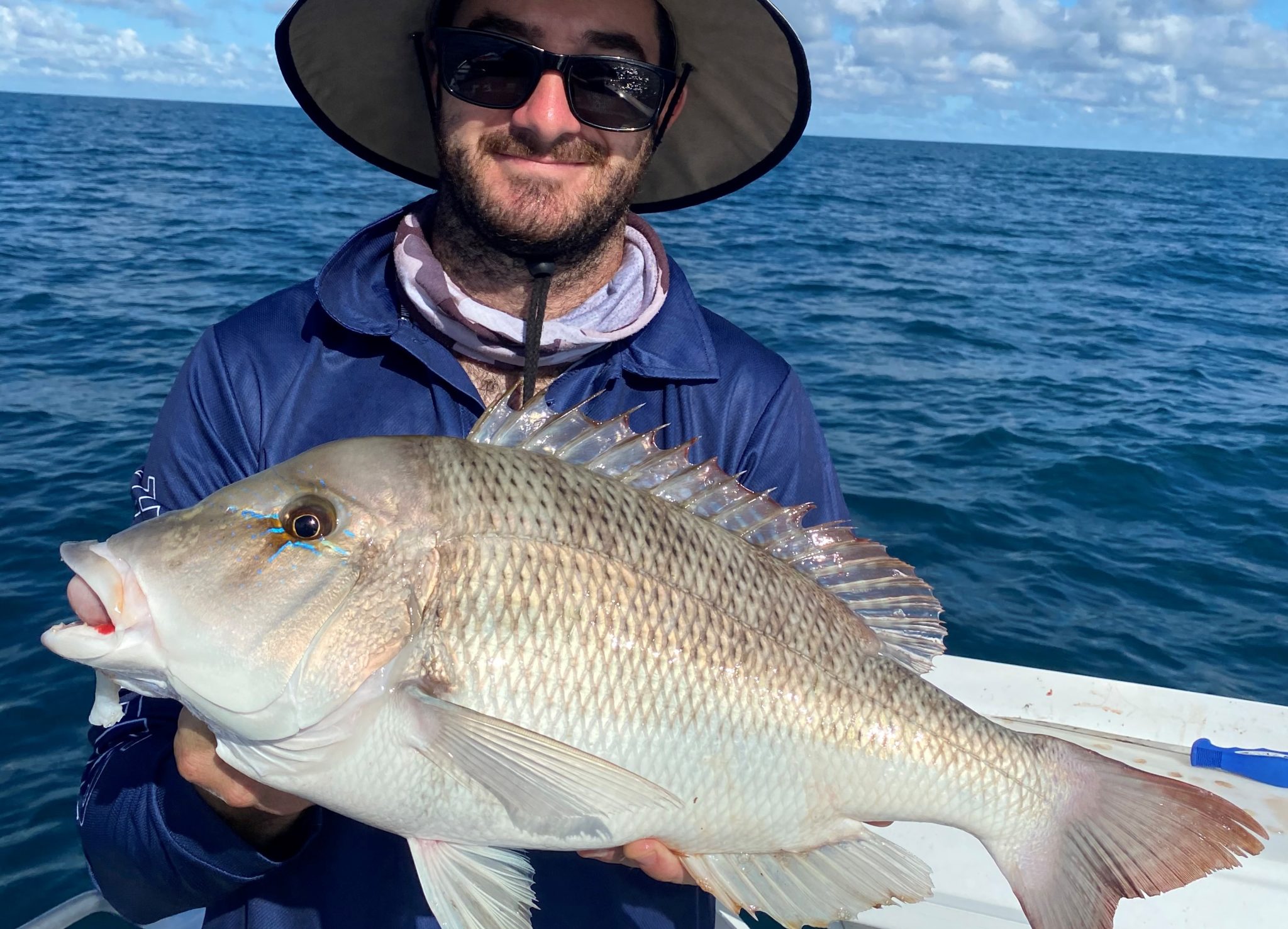 Rain stirring up the bait for good catches – Bundaberg Now