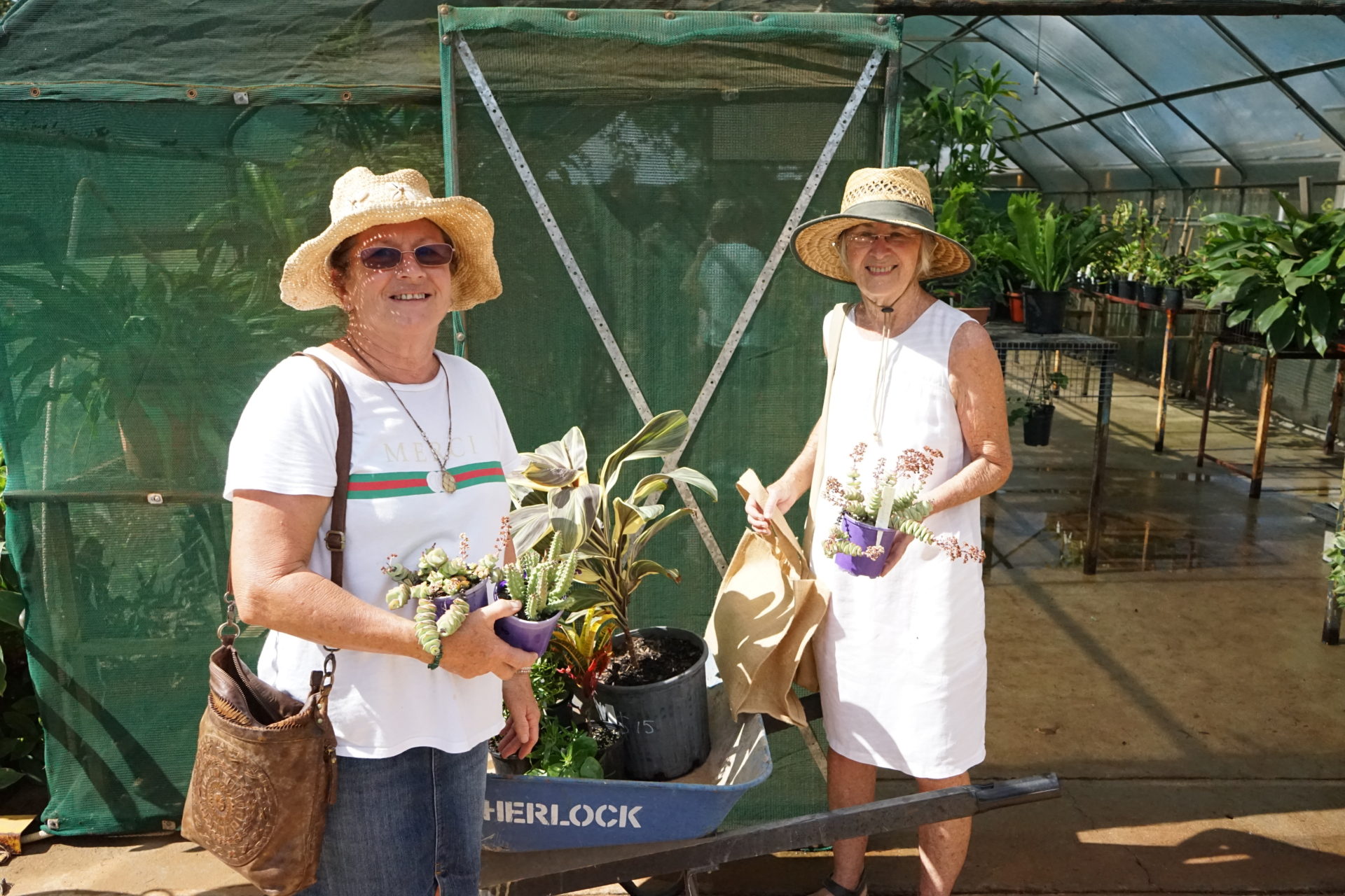 Nardoo Nursery plant sale a blooming success Bundaberg Now