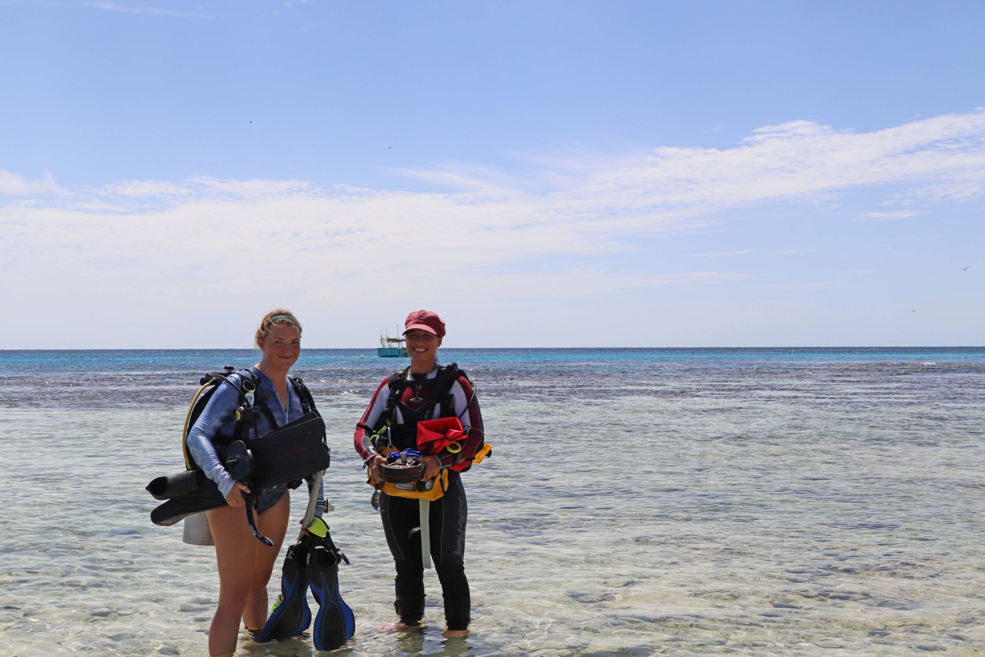 Research to protect Lady Elliot from climate change – Bundaberg Now