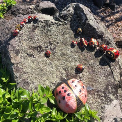 Burnett Heads fairy garden brings joy – Bundaberg Now