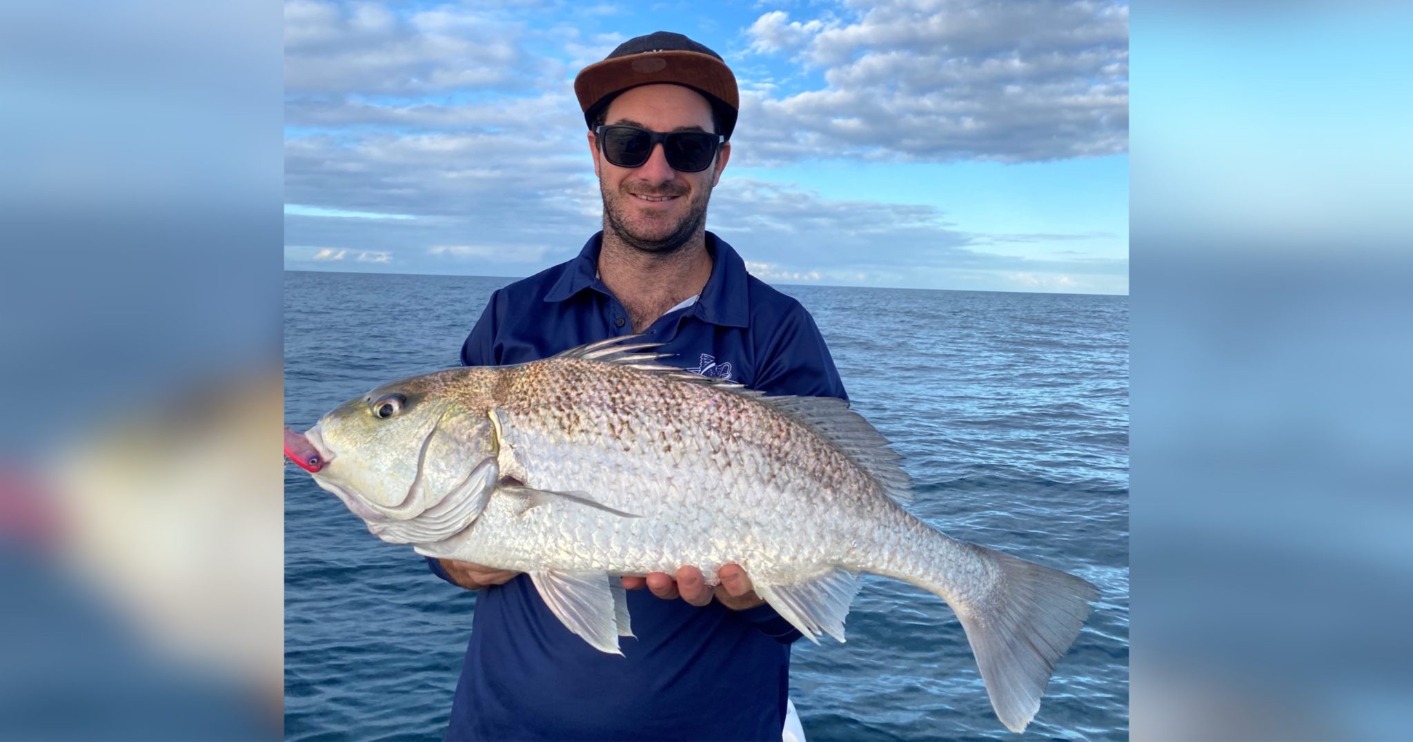 Reef Fish On The Chew In Bundy Waters – Bundaberg Now