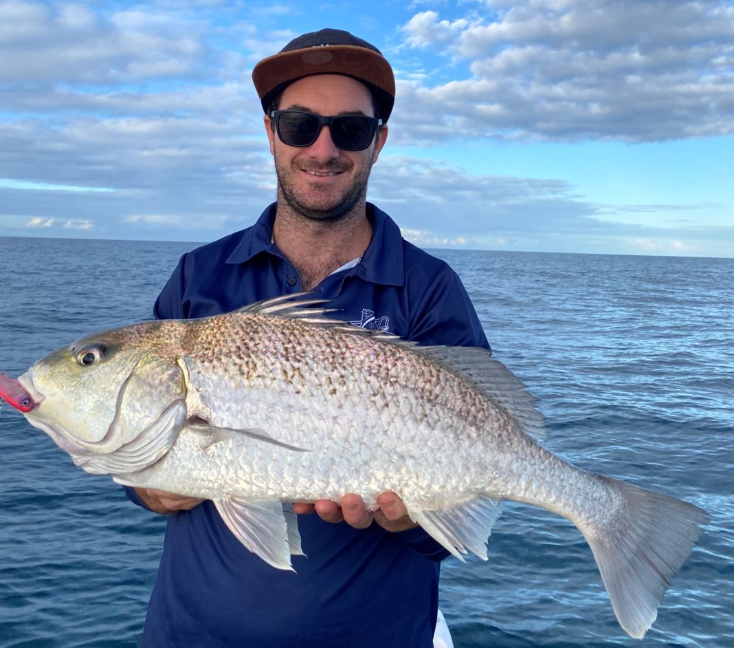 Reef Fish On The Chew In Bundy Waters – Bundaberg Now