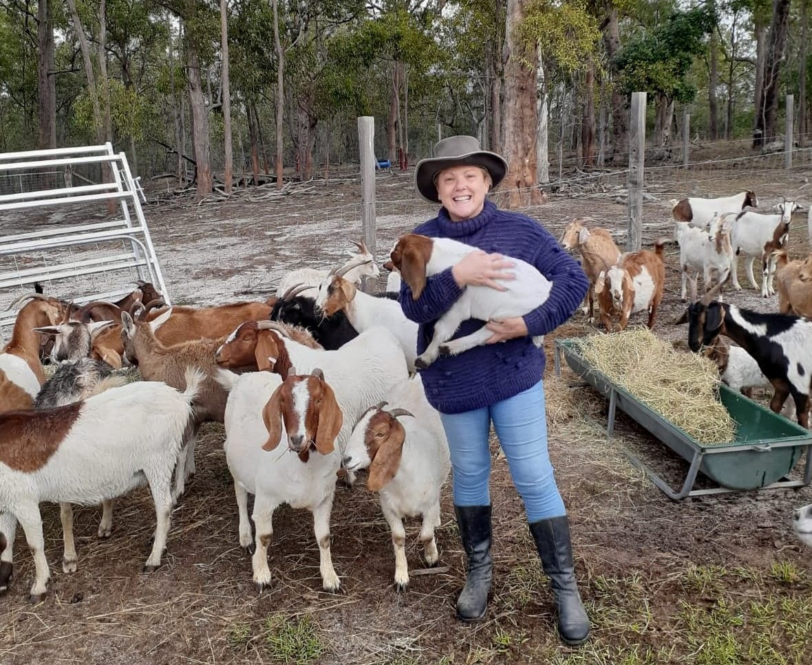 accidental-goat-farmers-as-industry-booms-bundaberg-now