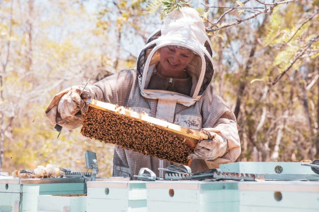 More than honey at Meant to Bee Tranquil Apiaries – Bundaberg Now