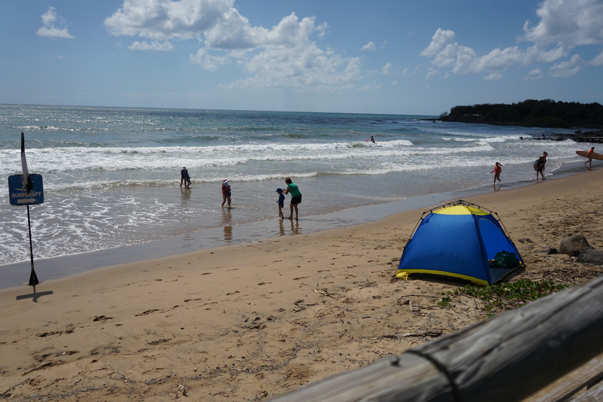 Mornings best to swim but watch for bluebottles – Bundaberg Now