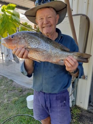 Plenty Of Fish On The Chew – Bundaberg Now