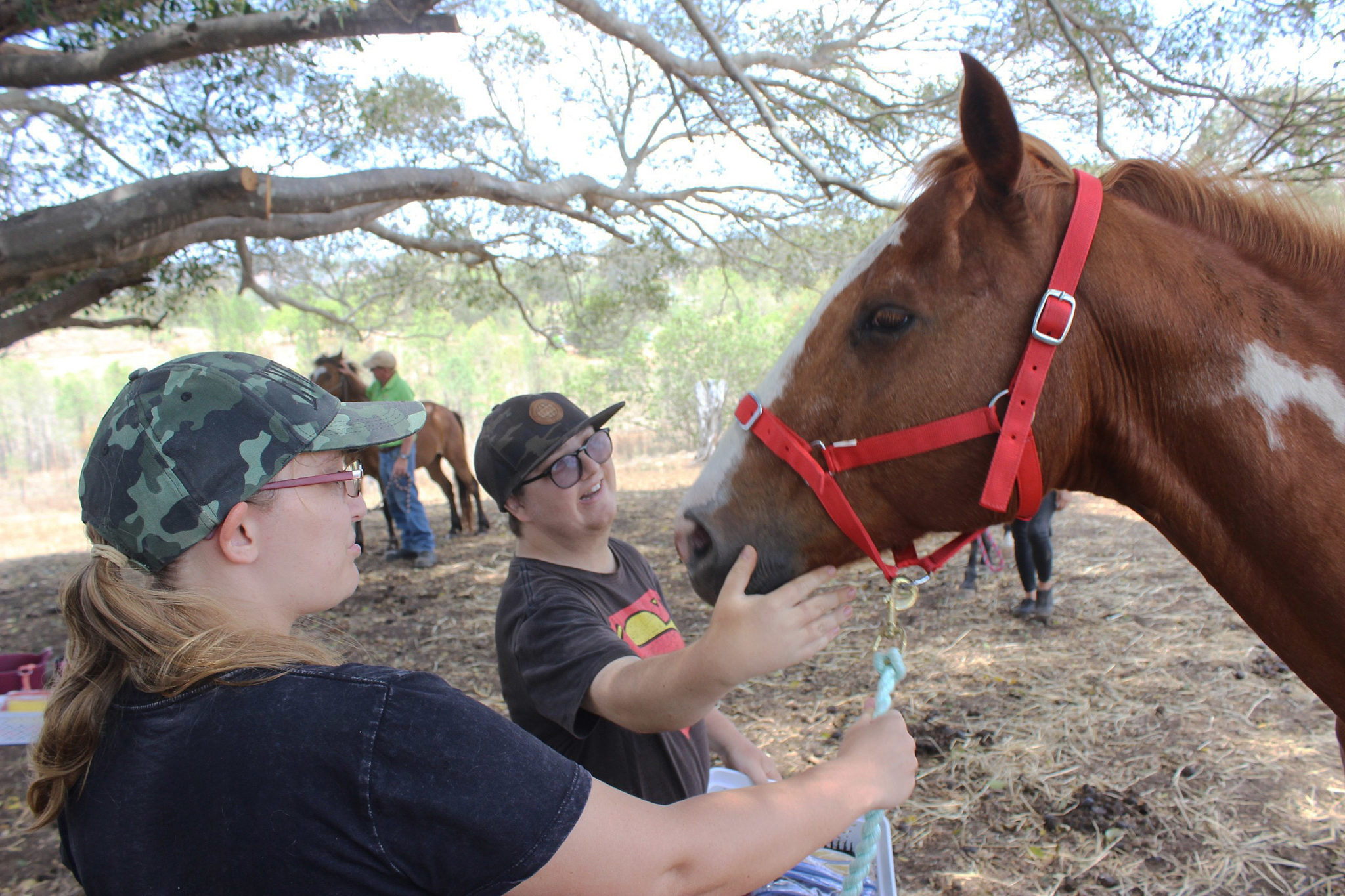 Delivering equine therapy is pure horse sense \u2013 Bundaberg Now