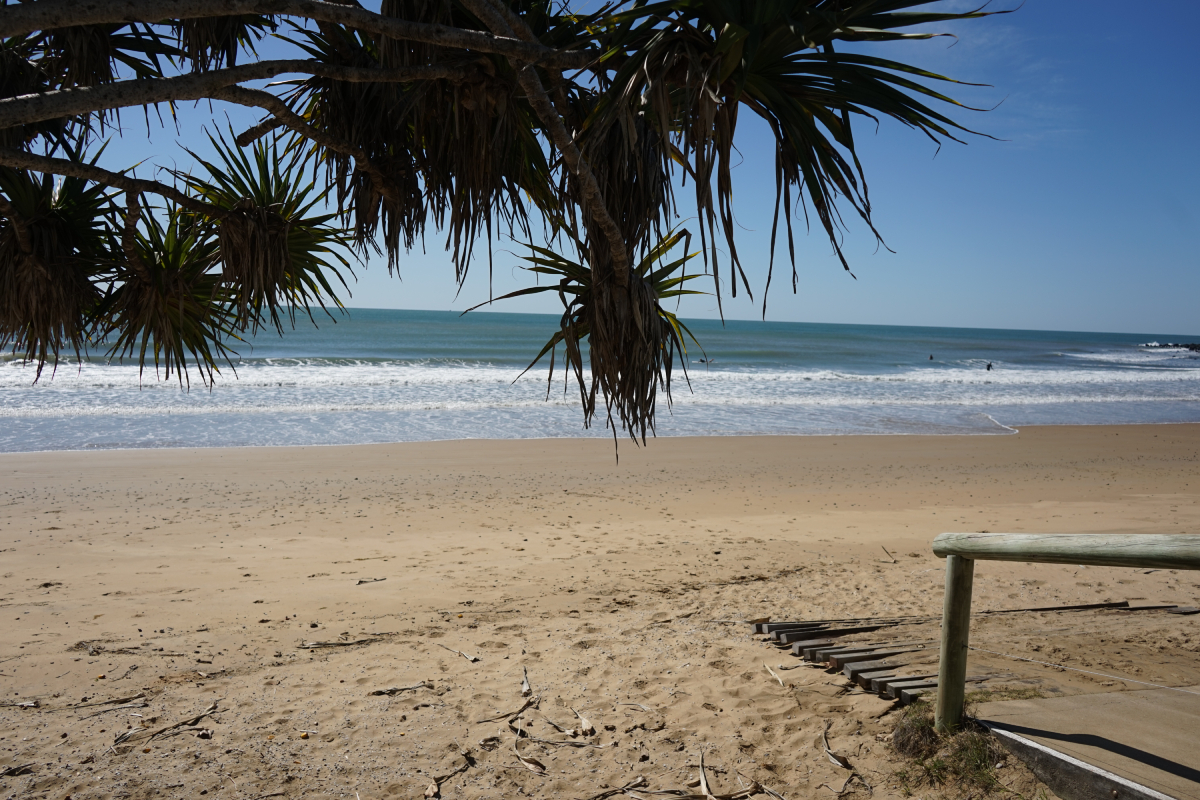 Hit The Beach Early For Better Swimming Conditions Bundaberg Now