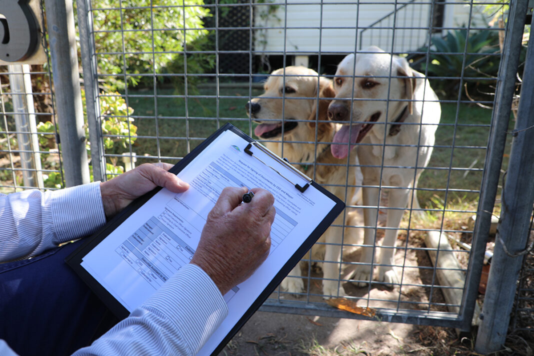 dog-registration-survey-underway-next-week-bundaberg-now