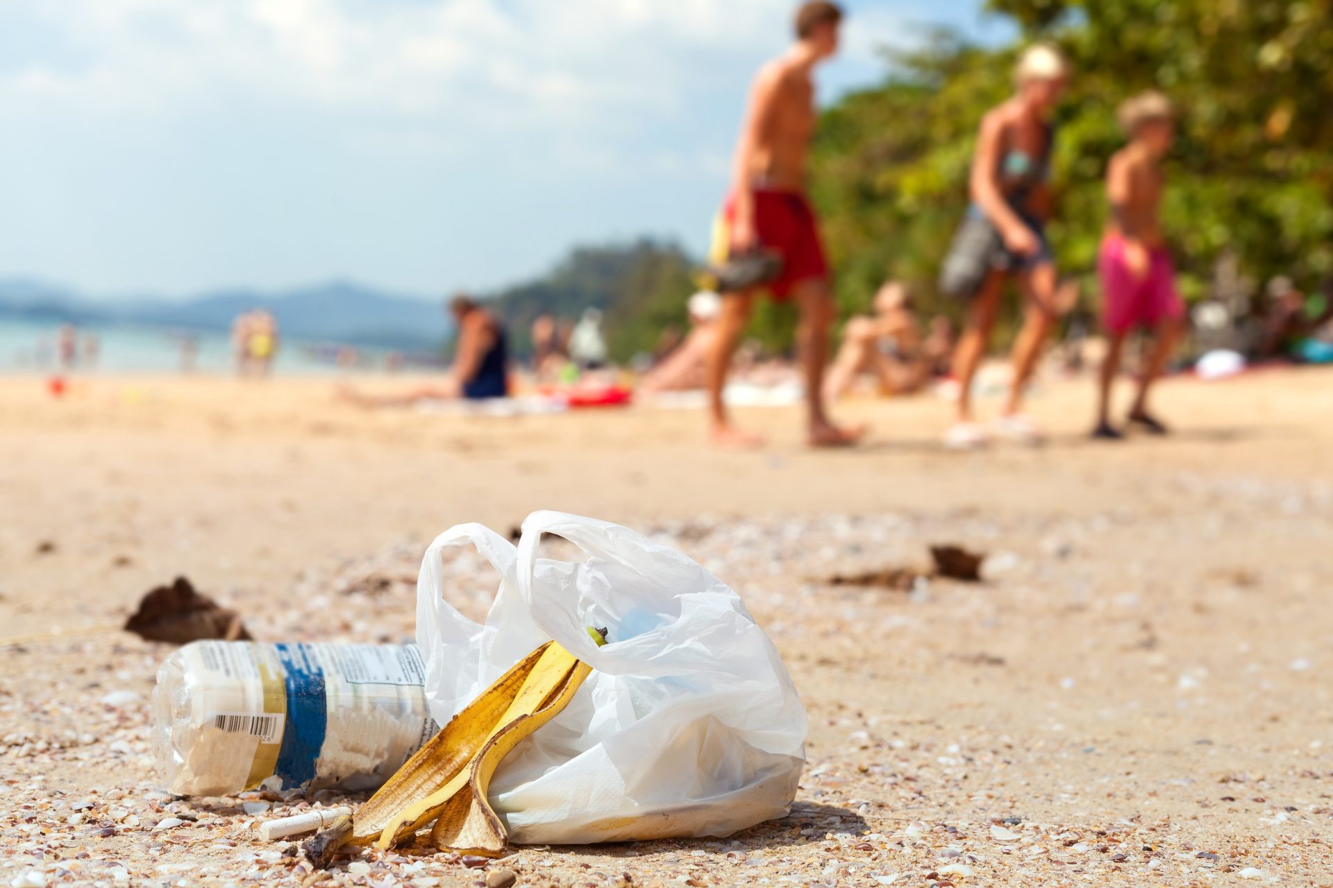 World Environment Day Beach CleanUp in Bargara Bundaberg Now