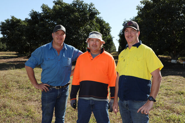 Blue Lagoon Avocados a family affair – Bundaberg Now