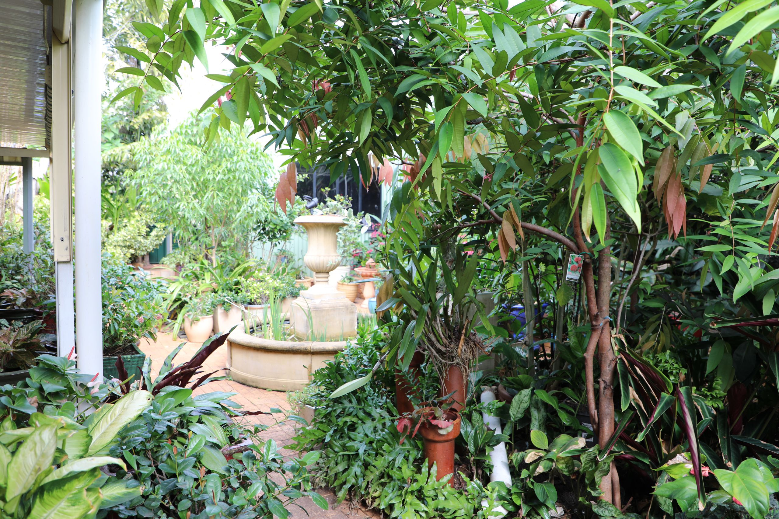 Marilyn’s garden comes alive in Childers – Bundaberg Now delivers free ...