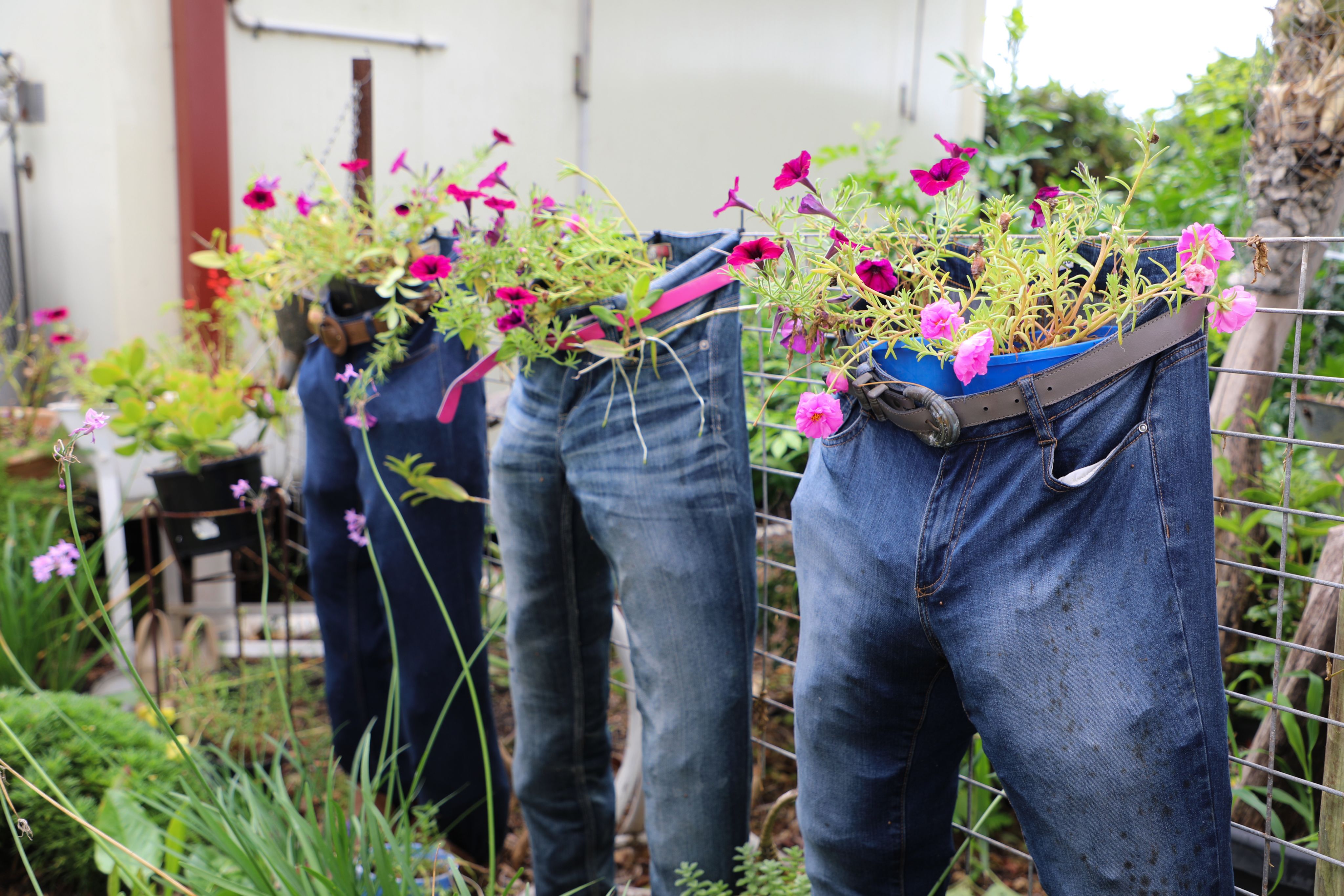 Artisan’s garden connects community – Bundaberg Now delivers free good news