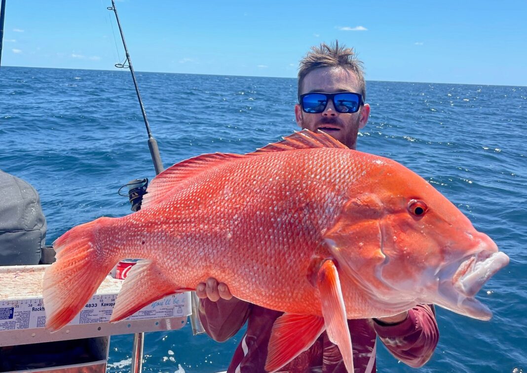 Fish In Full Flight Along The Bundaberg Coastline – Bundaberg Now