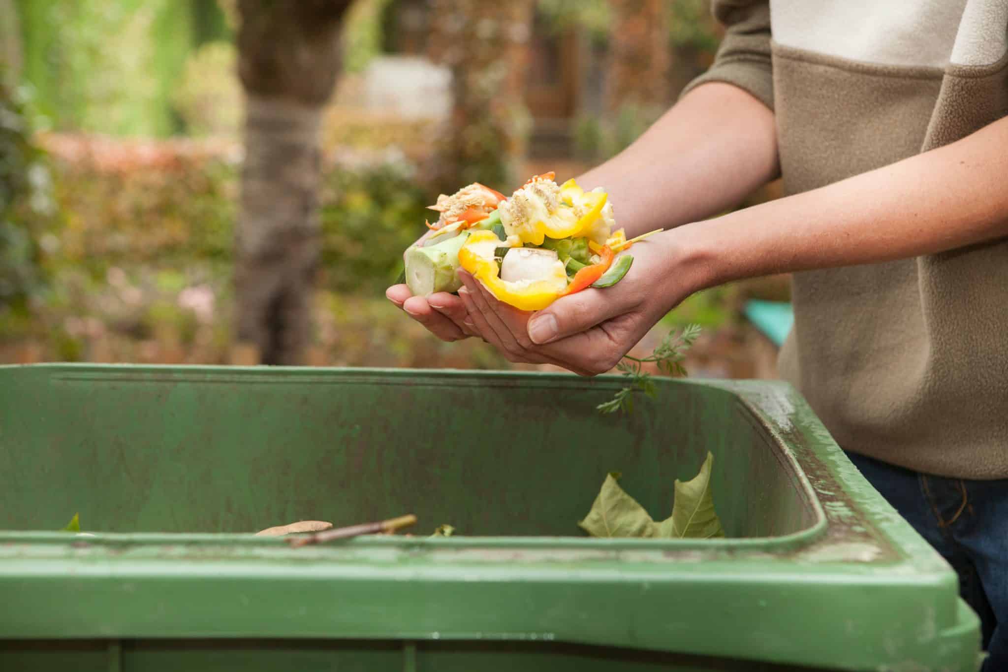 Food And Green Waste Bins Investigated Bundaberg Now   Kitchen Garden Waste LR 174761427 Scaled 