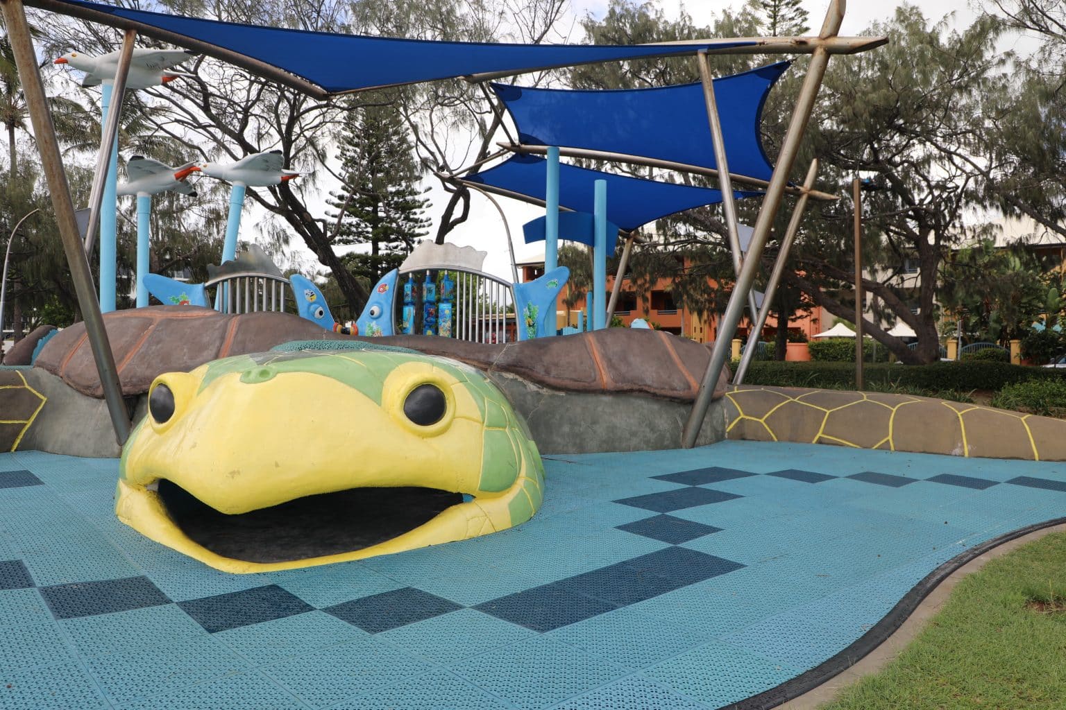 Turtle Playground Reopens With New Surface – Bundaberg Now