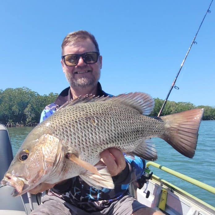 Masses of baitfish prompts incredible fishing – Bundaberg Now