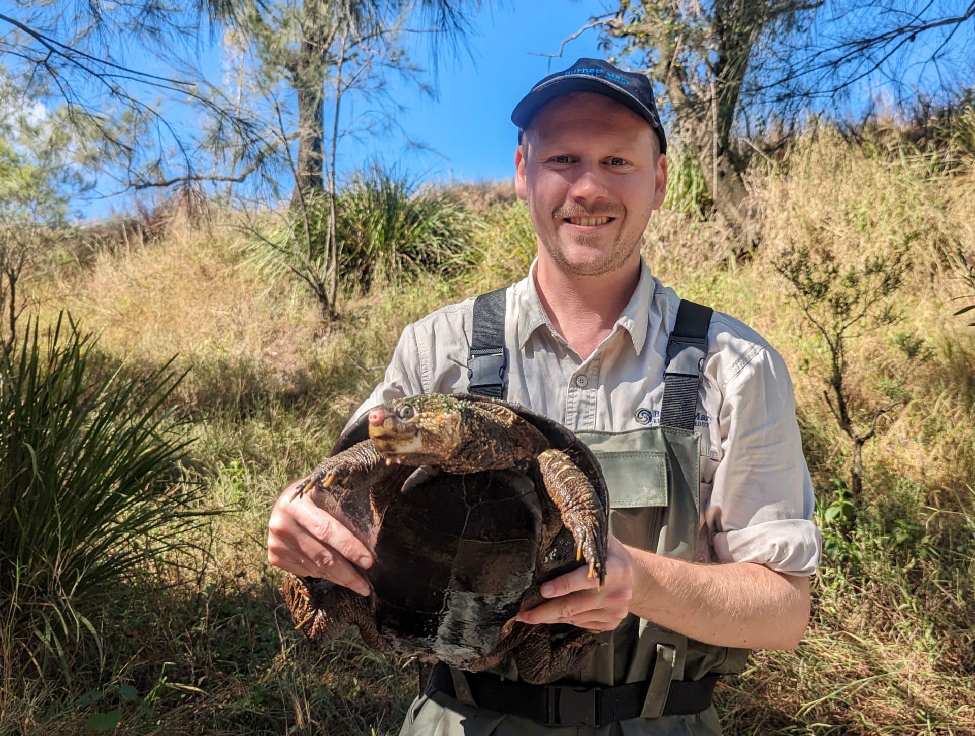 Bundy scientists discover endangered turtles – Bundaberg Now