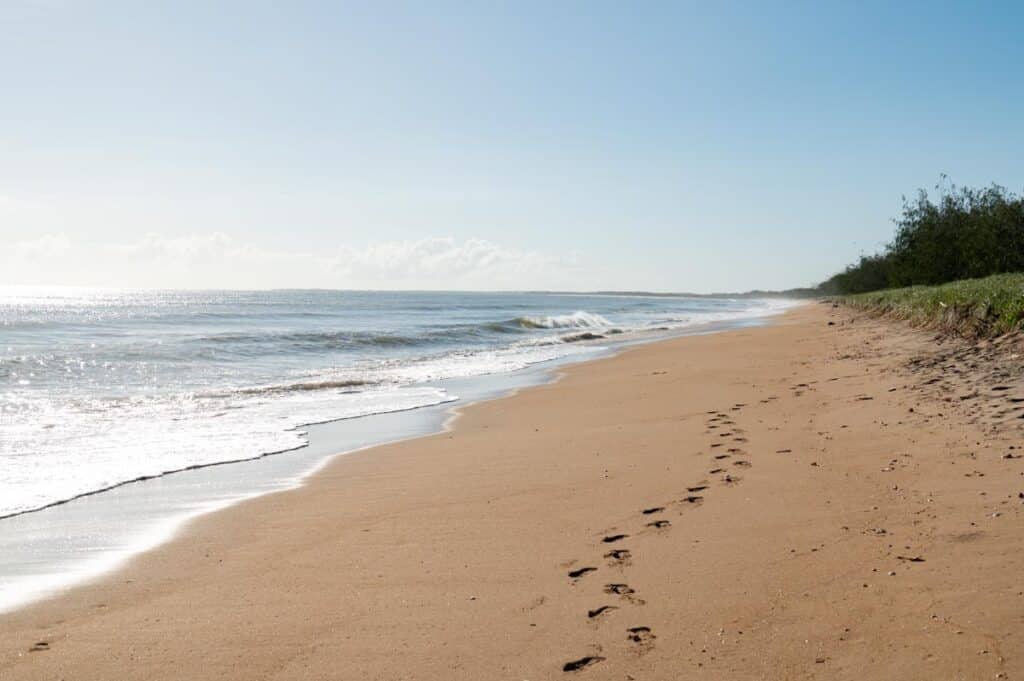 Explore our region: Moore Park Beach foreshore