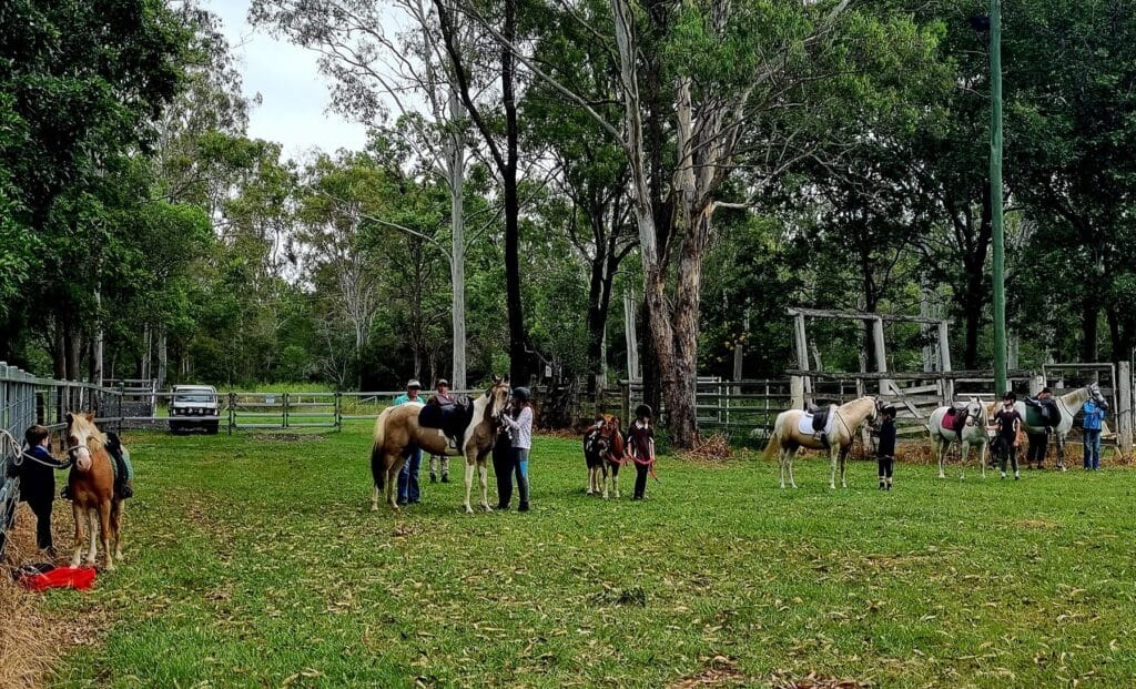 Pony Club Trotting Its Way To 65th Anniversary – Bundaberg Now