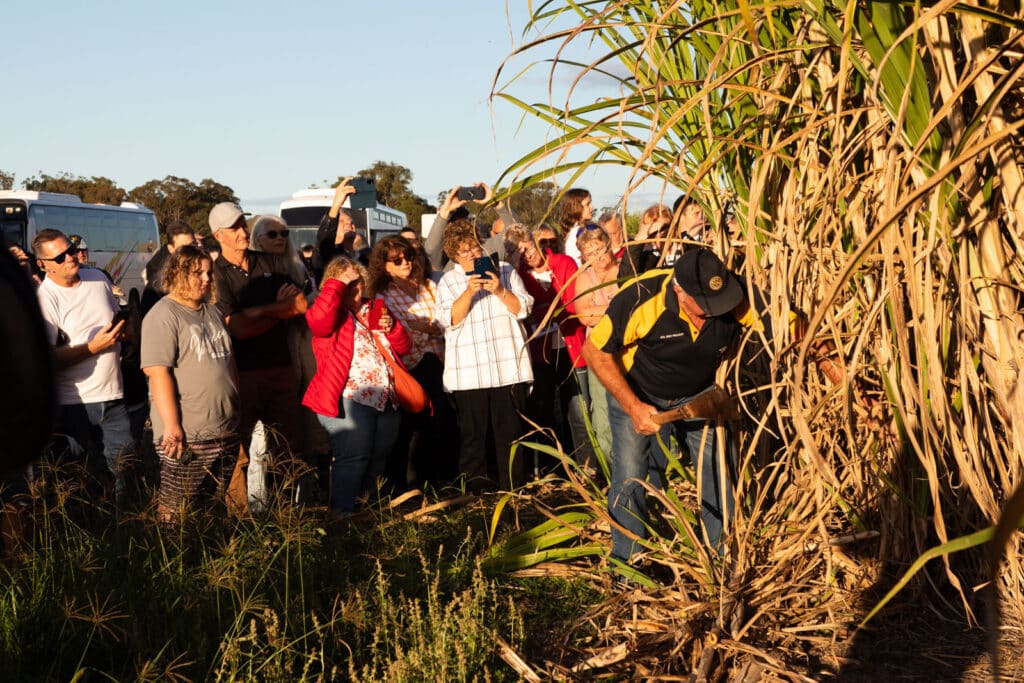 How to: apply to host a Childers Festival event – Bundaberg Now