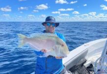 Fishing Report offshore red hot