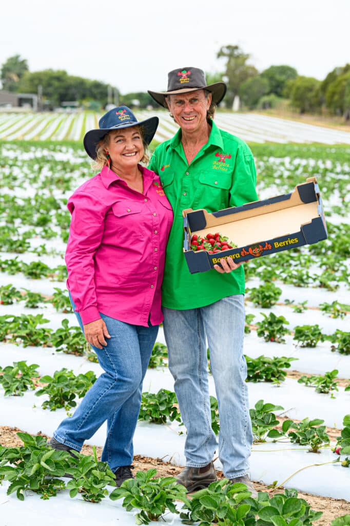 Local Taste Ambassadors
Bargara Berries