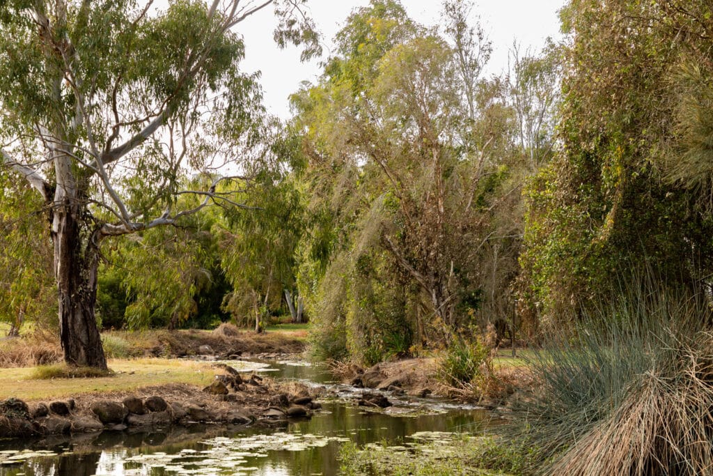 Baldwin Swamp history