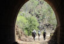 Bundaberg Bushwalking Club 40th anniversary