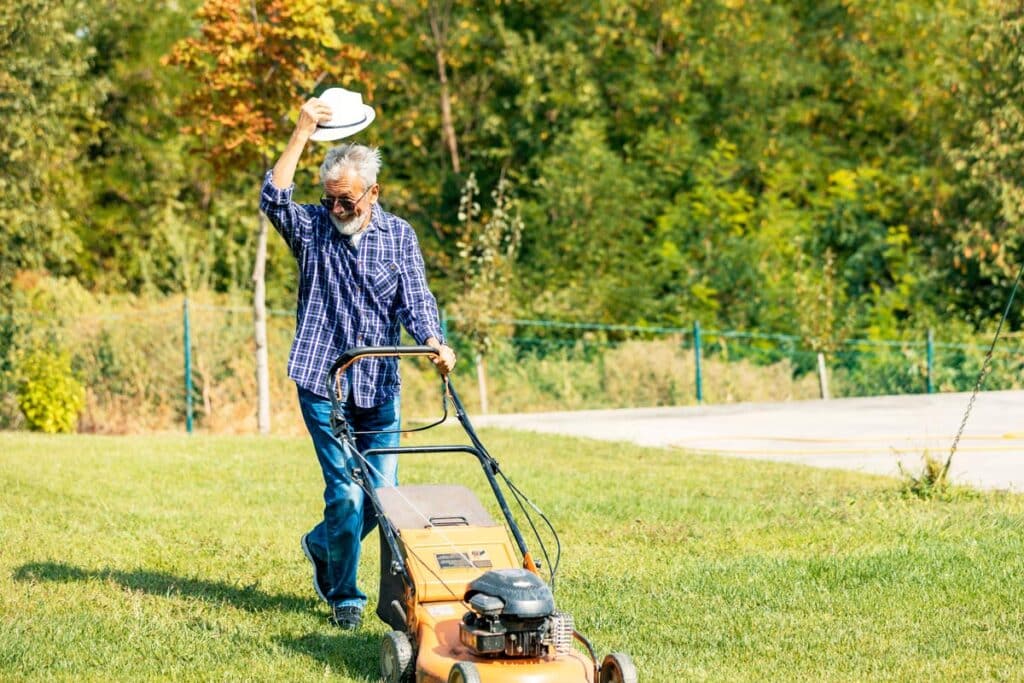 lawn mowing overgrown properties