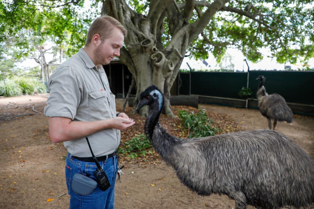 Alexandra Park Zoo Zoo and Aquarium Association accreditation