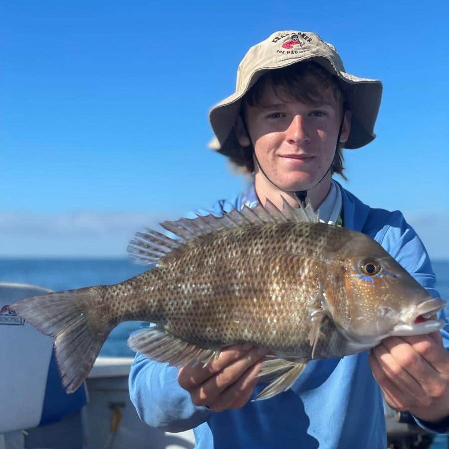 Junior staff member Cayden Raines with a quality grass sweetlip caught at an inshore reef off Burnett Heads