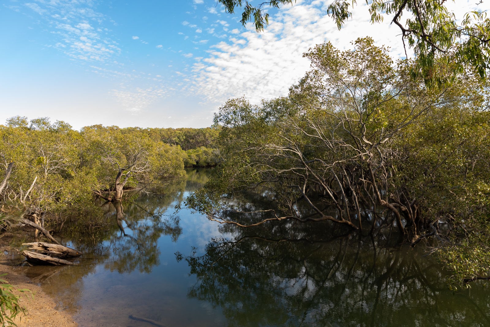 region natural beauty riverview