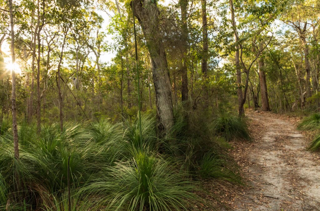 Meadowvale Environmental Reserve