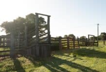 Barolin Nature Reserve Pasturage Reserve