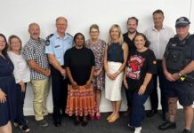 domestic family violence working group