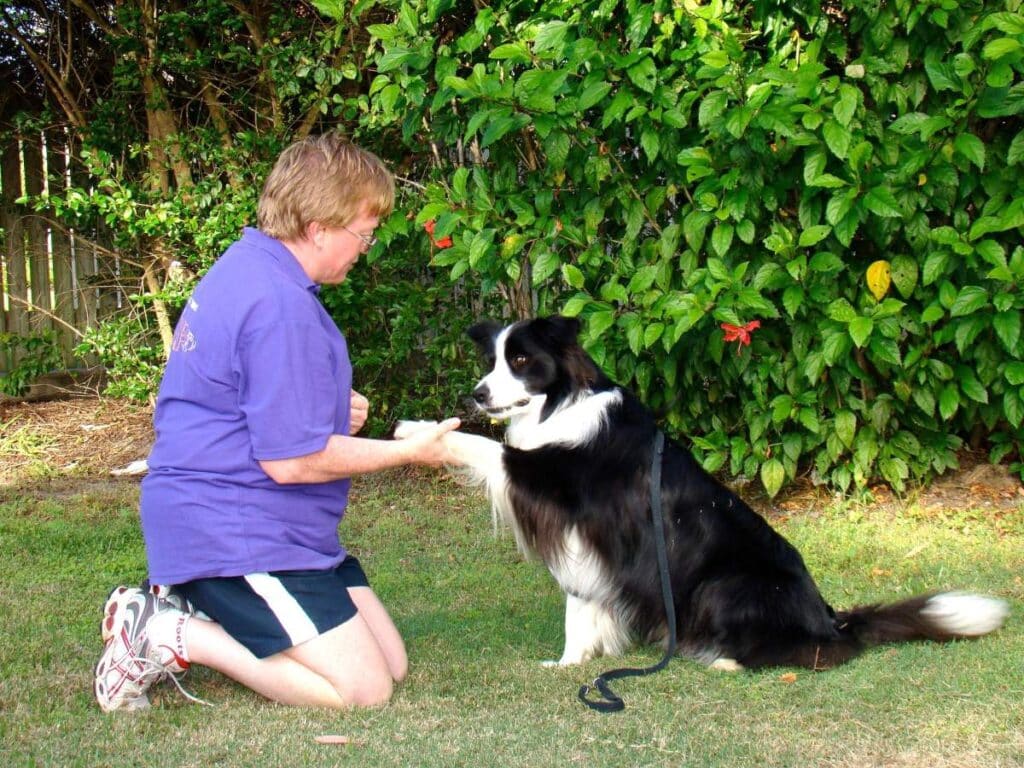 trainer animals aged care