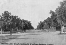 woongarra trees