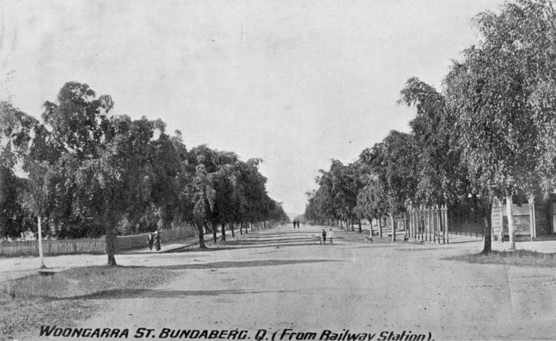 woongarra trees