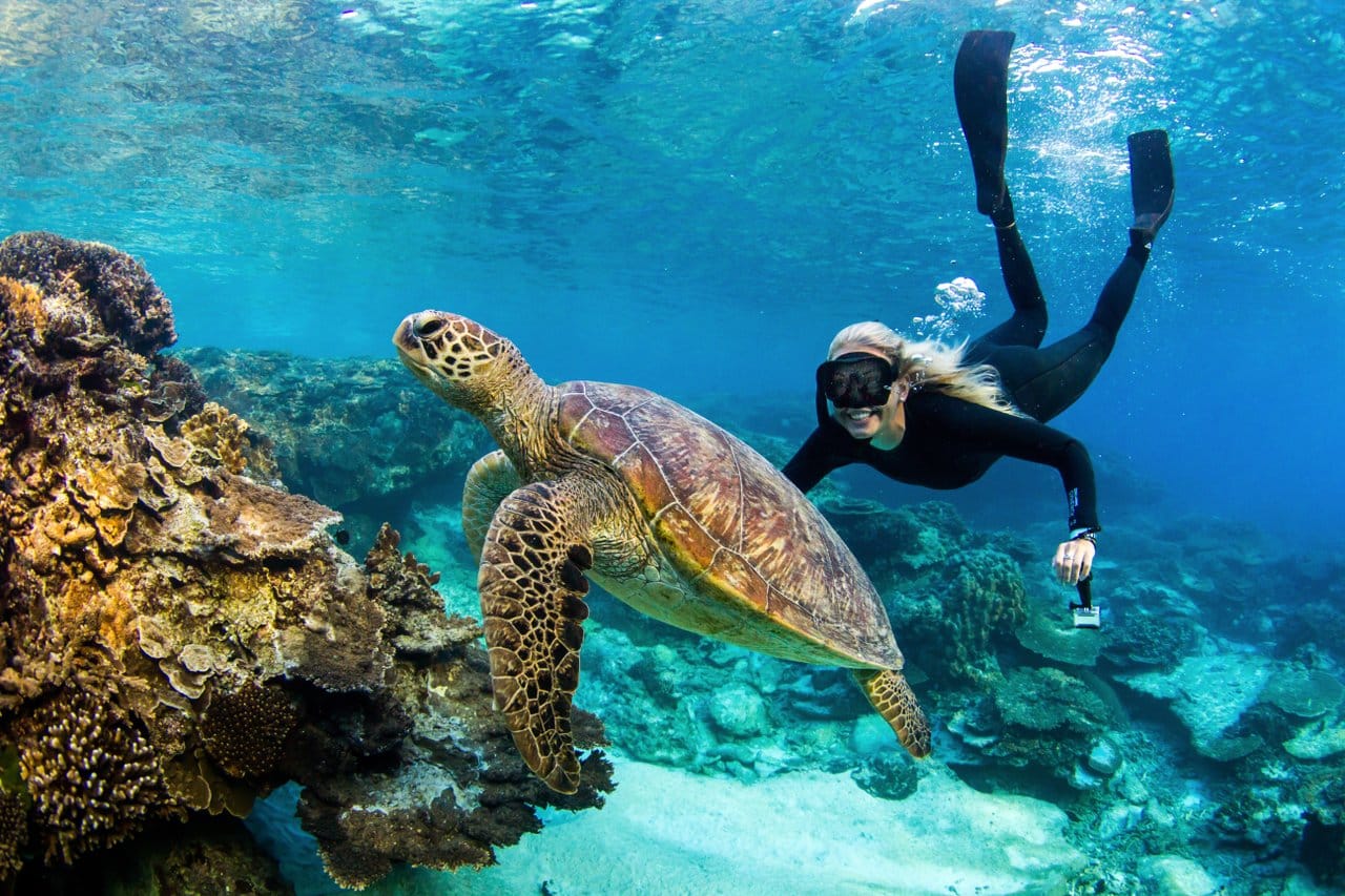 Bundaberg Tourism Lady Elliot Island