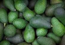 Avocados