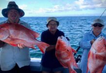 Mick Sanko and Penny with a nice haul of red emperor.