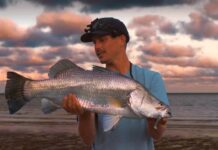 Team member Jeremy Chaseling with a nice 85cm barra caught land based off the beach!